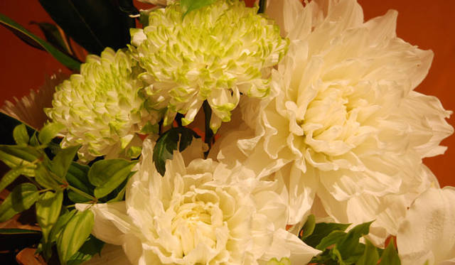 <strong>和気雅美｜FLORALUXE</strong>　 「新生の年、2012のはじまりに」