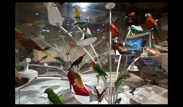 　カラフルな鳥たちとアーカイブシューズ。©Guglielmo de’ Micheli