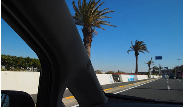 <strong>NISSAN LEAF｜日産 リーフ</strong>　『馬堀海岸インターチェンジ』を出たら、ヤシの木が並んだ、海岸沿いらしい景色が広がっていた。