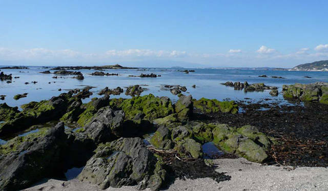 <strong>NISSAN LEAF｜日産 リーフ</strong>　佐島は横須賀の中では比較的観光客の少ない知るひとぞ知る穴場スポット。　©Nowhere resort