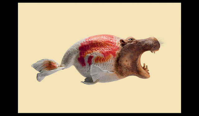 <strong>『BEAT TAKESHI KITANO 絵描き小僧展』</strong><br />Beat Takeshi Kitano,2009 (Hippopotamus-Ranchu)  ©Office Kitano Inc. Photo Yoshinaga Yasuaki