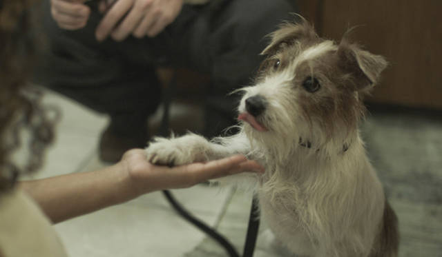 <strong>映画『人生はビギナーズ』特別試写会</strong>