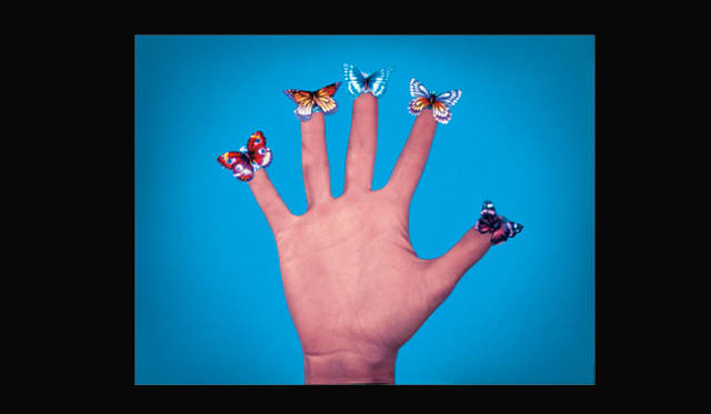 <strong>ジャック・ゴールドスタインの日本初となる展覧会</strong>　Jack Goldstein “Some Butterflies”, 1975 16 mm, color, silent, 30’’ courtesy of Galerie Buchholz, Berlin/Cologne and The Estate of Jack Goldstein