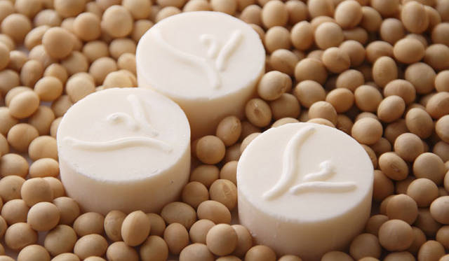 <strong>LIVING LIGHT｜リビングライト</strong>　「Soy Melts（ソイメルト / 6個入り）」2900円