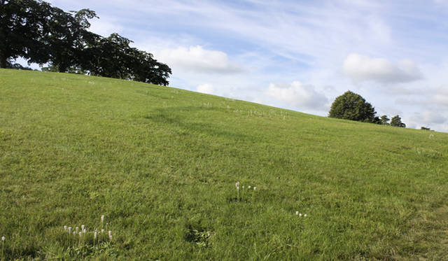 <strong>Yoko Ueno Lewis｜暮らしノート｜スウェーデン直感紀行　Vol.3</strong>　世界遺産“森の墓地　スクーグスチルコゴーデン”