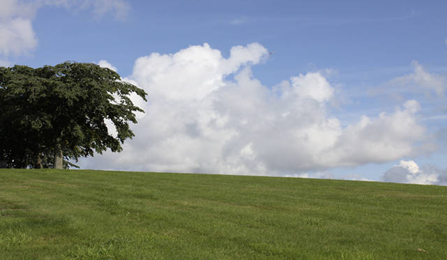 <strong>Yoko Ueno Lewis｜暮らしノート｜スウェーデン直感紀行　Vol.3</strong>　世界遺産“森の墓地　スクーグスチルコゴーデン”