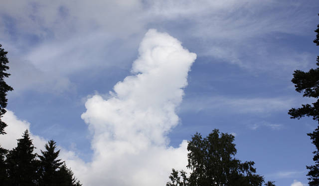 <strong>Yoko Ueno Lewis｜暮らしノート｜スウェーデン直感紀行　Vol.3</strong>　世界遺産“森の墓地　スクーグスチルコゴーデン”