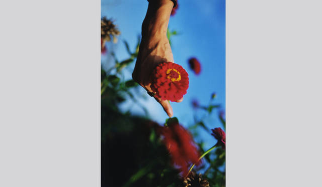 <strong>G-tokyo 2012</strong>　Mika Ninagawa [Yosuke Kubozuka] 2011 C-print ©mika ninagawa Courtesy of Tomio Koyama Gallery