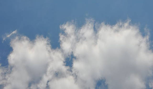 <b>塚田有一│みどりの触知学</b>　雨水の空