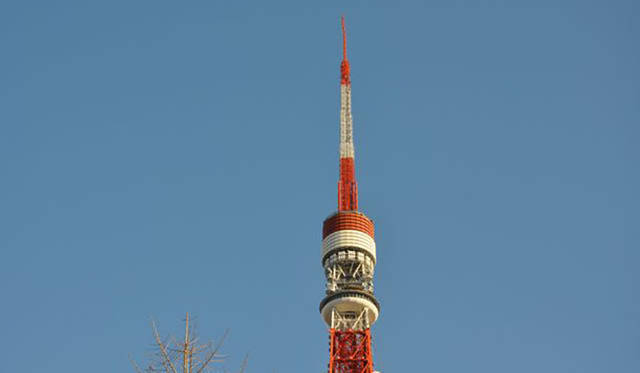 <b>塚田有一│みどりの触知学</b>　さきっちょが……