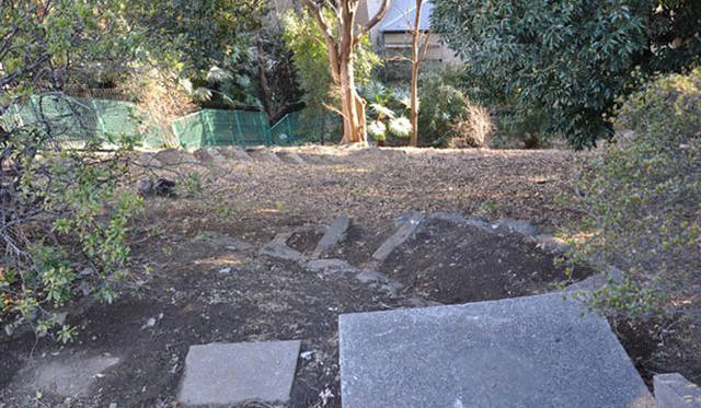 <b>塚田有一│みどりの触知学</b>　時折あるこんな斜面