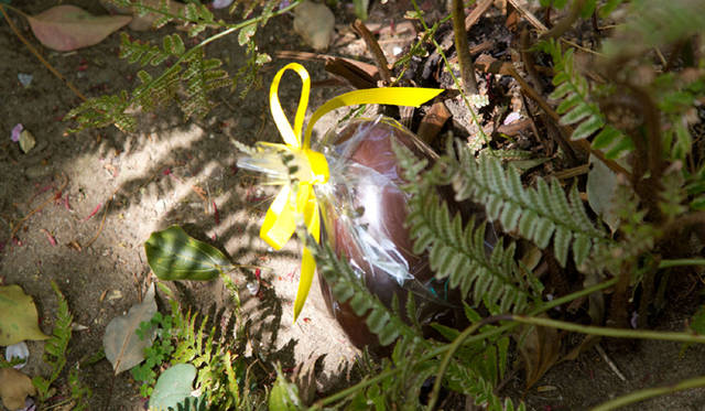 <strong>PIERRE HERMÉ PARIS│ピエール・エルメ・パリ</strong>　原美術館でフランスの伝統的な復活祭“パック”を体験！