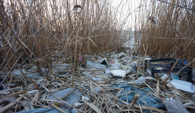 <strong>「project in PROJECTS」</strong>　<strong>淀川テクニック</strong>　河川敷のゴミが彼らにとってはアート作品を制作する材料。courtesy of YUKARI ART