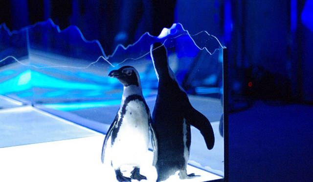 <strong>GLOBE-TROTTER｜グローブ・トロッター</strong>　一夜限定オープンの「キャプテン・スコット シークレットバー」