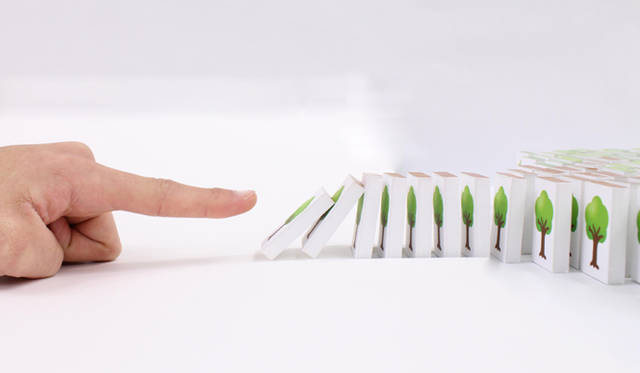 <strong>エコ＆アート アワード 2012</strong>　ビジュアルアーツ部門の展示作品。