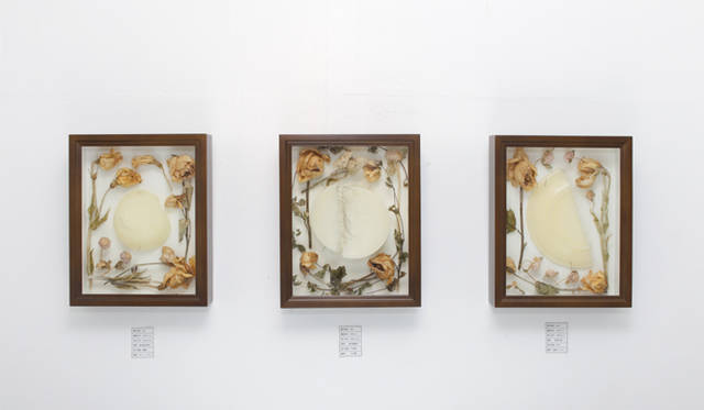 <strong>エコ＆アート アワード 2012</strong>　next ACTION部門からは9作品が展示される。