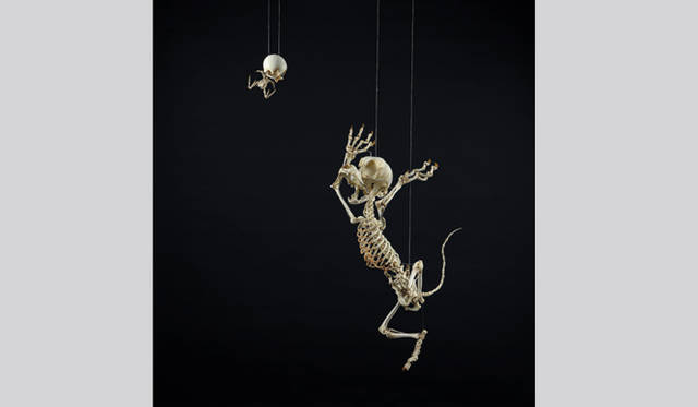 <strong>東アジアが世界のアートシーンを左右する</strong>　<strong>Gallery Skape</strong>　Hyungkoo Lee 「Felis Animatus/Leiothrix Lutea Animatus」 2009 resin, aluminum sticks, stainless steel wires, springs, oil paint 130ｘ73ｘ50cm,  15.5x15x21cm ©Hyungkoo Lee, 2009. All right reserved. Gallery Skape