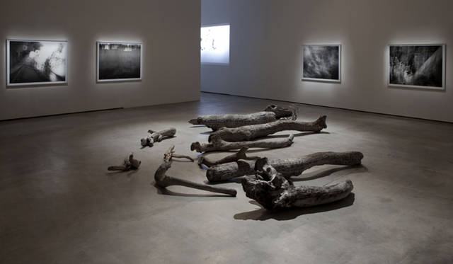 <strong>東アジアが世界のアートシーンを左右する</strong>　<strong>TKG+</strong>　Photo by Nei Chi HUNG