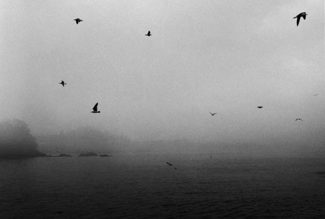 <strong>ART｜鷲尾和彦 写真展『遠い水平線』 </strong> ©WASHIO Kazuhiko