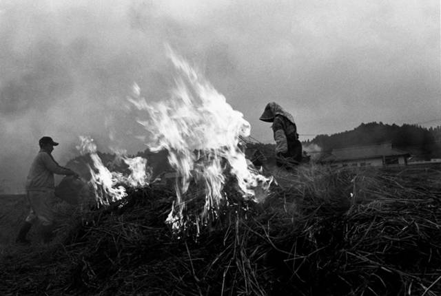 <strong>ART｜鷲尾和彦 写真展『遠い水平線』 </strong> ©WASHIO Kazuhiko