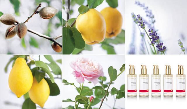 <strong>Dr.Hauschka｜Dr.ハウシュカ</strong>　＜ボディミルク＞Dr.ハウシュカ ボディミルク 5種