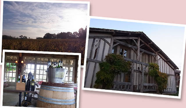 <strong>Soup Stock Tokyo｜スープストックトーキョー</strong>　ボルドーでのチャリティーディナーの会場となったオーベルジュ「Les Sources de Caudalie」は、ワイン醸造所に隣接している。