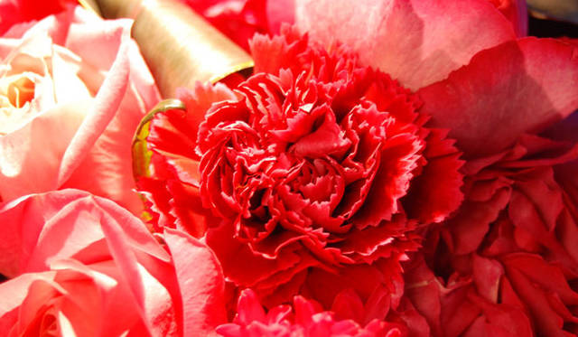 <strong>和気雅美｜FLORALUXE</strong>　母の日2012　カーネーションの生花