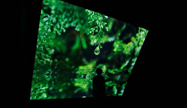 <strong>Canon｜キヤノン</strong>　ミラノサローネ2012「NEOREAL IN THE FOREST」　Super Nature