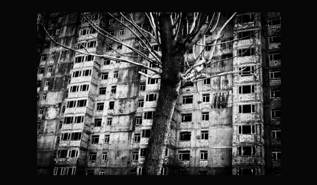 <strong>Leica｜ライカ</strong>　©Jacob Aue Sobol/Magnum Photos