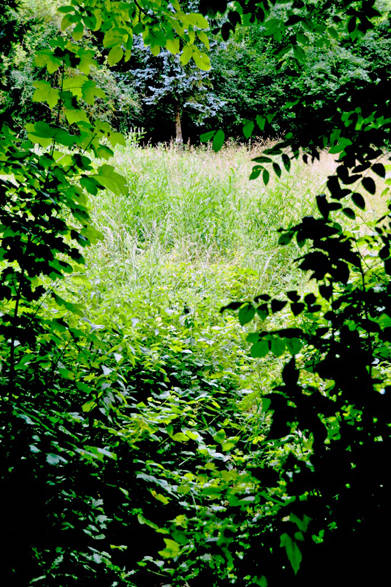 <strong>carnet de jardin｜松永 学</strong> 道に迷っても進んでみる