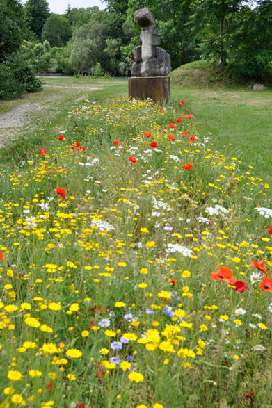 <strong>carnet de jardin｜松永 学</strong> 春の野草が埋め尽くす、奥にはマルヌ川が。。。