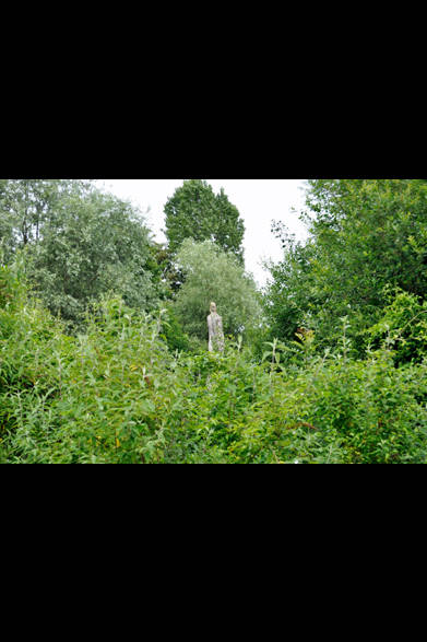 <strong>carnet de jardin｜松永 学</strong> 秋はどんな様子なのか