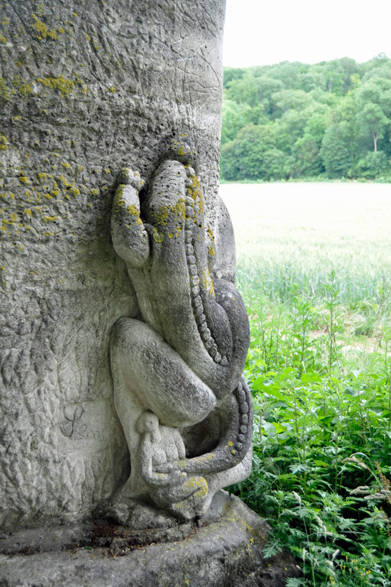 <strong>carnet de jardin｜松永 学</strong> 苔とともに