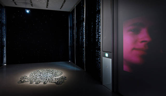 <strong>ESPACE LOUIS VUITTON TOKYO｜エスパス ルイ・ヴィトン東京　“AWAKENING”</strong>　<br />SKULL (2012) Pekka Jylh&auml<br />Starwall (2012) Sami Sänpäkkilä　<br />Today We Live (2012) Hannaleena Heiska<br />©Louis Vuitton / Jérémie Souteyrat　Courtesy of Espace Louis Vuitton Tokyo