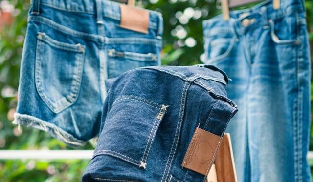 <strong>東北コットンプロジェクト</strong>　綿栽培をつうじて震災復興を目指す東北コットンプロジェクト　©中野幸英