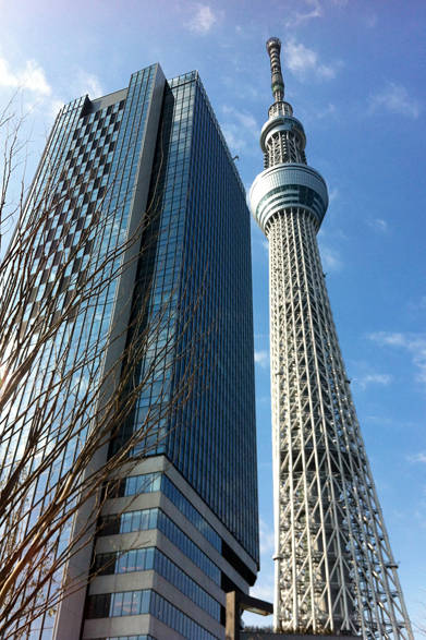 週末の朝のひととき、押上から見上げたスカイツリーをパシリ。ビルとのコンビネーションもいい感じ