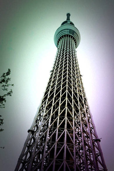 近くから見るとかなりの大きさ！　この堂々と佇立した姿にウットリ