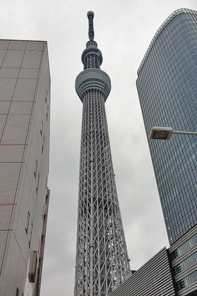 ツリーとビルのコンビネーションになんだか愛をかんじませんか？