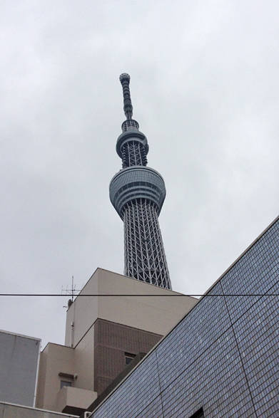 今日のスカイツリー。錦糸町のビルの合間からちらりと顔をのぞかせています