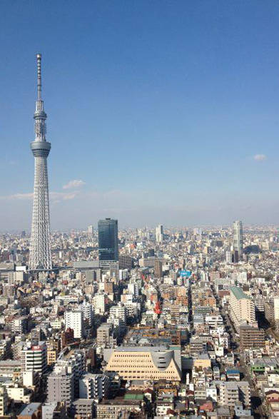 今日は高いビルからの眺望です