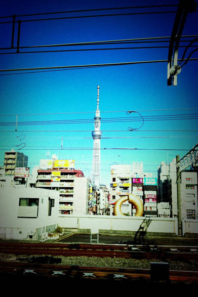 今日は錦糸町駅からの姿をパシリ