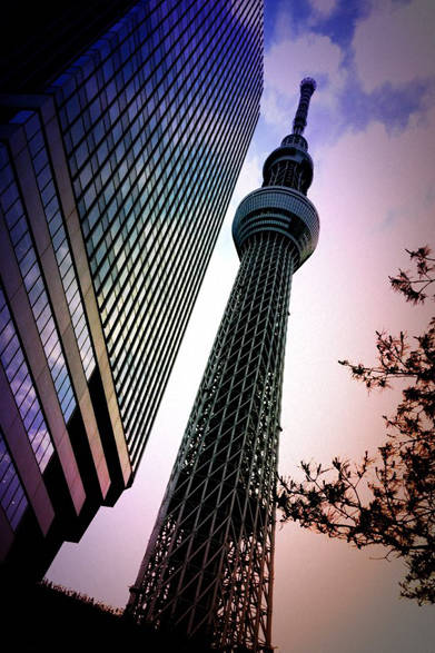 スカイツリーは大賑わい。敷地には緑が多く配置され、これまた和みますよ