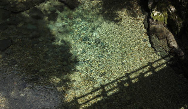 <strong>森の神に会う旅～岐阜県の“ウェルネス・ツーリズム”</strong>　6月中旬、付知川の水量は少なかったがその透明度は抜群だった