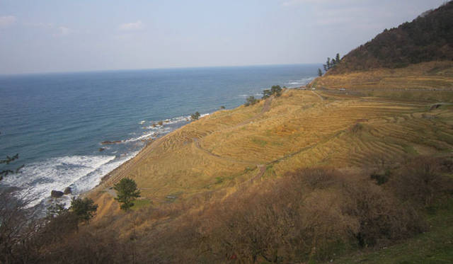 <strong>COOK IT RAW｜クック・イット・ロゥ</strong>　石川県の恵みを見守るように、里山から海を望む棚田