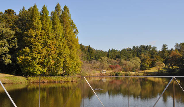 <strong>COOK IT RAW｜クック・イット・ロゥ</strong>　アマンダン・ヴィラのテラスから臨む、秋の優雅な色調