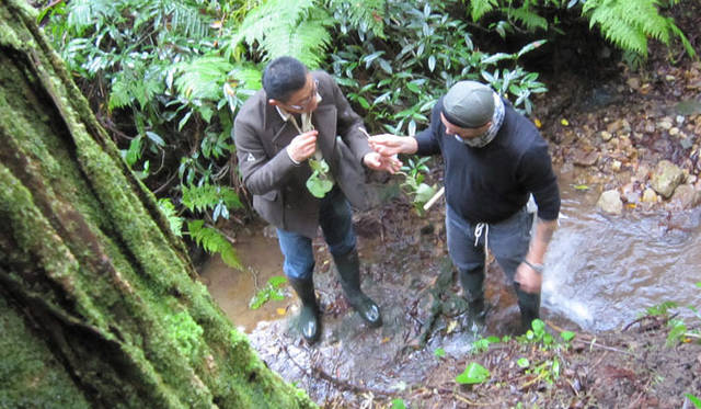 <strong>COOK IT RAW｜クック・イット・ロゥ</strong>　眼を凝らし、鼻を利かせ、食べられそうなものは、片っぱしから味見をする