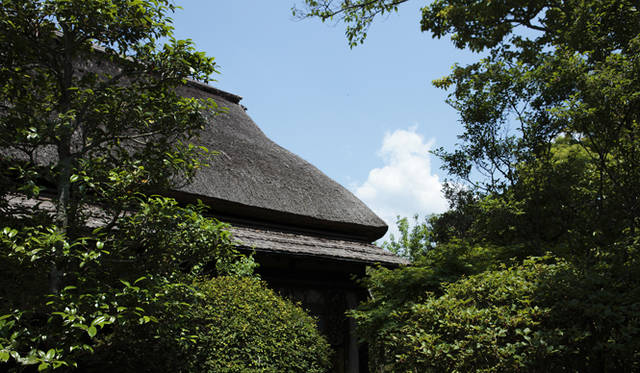 <strong>森の神に会う旅～岐阜県の“ウェルネス・ツーリズム”</strong>　江戸初期の古民家を移築した「栗の間」