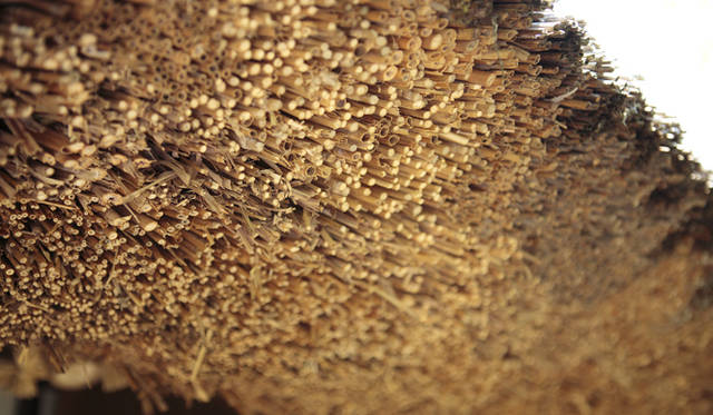 <strong>森の神に会う旅～岐阜県の“ウェルネス・ツーリズム”</strong>　茅葺き屋根は3年前にすべて葺き替えたそう