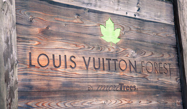 　誕生から4年目を迎えるルイ・ヴィトンの森。「山が荒れれば、保水力も落ちて、土砂崩れが起きたりもする。そこから再生するのにもすごく時間がかかるわけですから。きちんと森のメンテナンスをすることは、人間が手を下した責任でもあると思うのです」（坂本龍一氏）