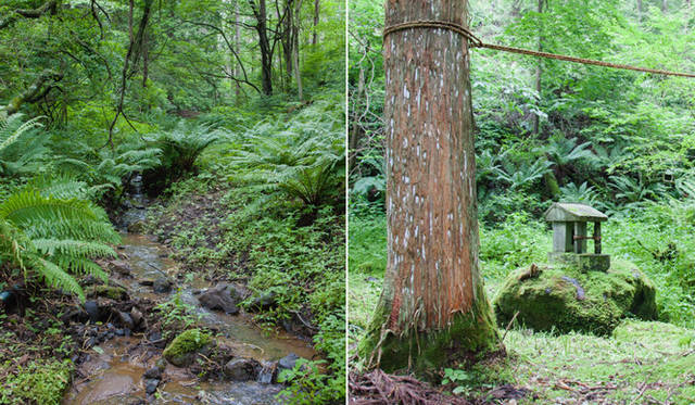 　ランチのあとは、ルイ・ヴィトンの森近くにある水源へ。水源のほど近くには、昔から水神が祀られているであろう、小さな祠の姿も。ここでは硬度175度という、日本のなかでも希少な硬水が採れる。ここで採れた水がボトリングされて、「LOUIS VUITTON FOREST by more Trees」のナチュラルミネラルウォーターに